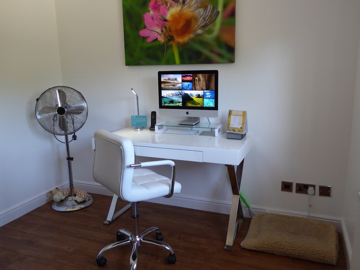 Best Desk Fans for Home Office (2026)